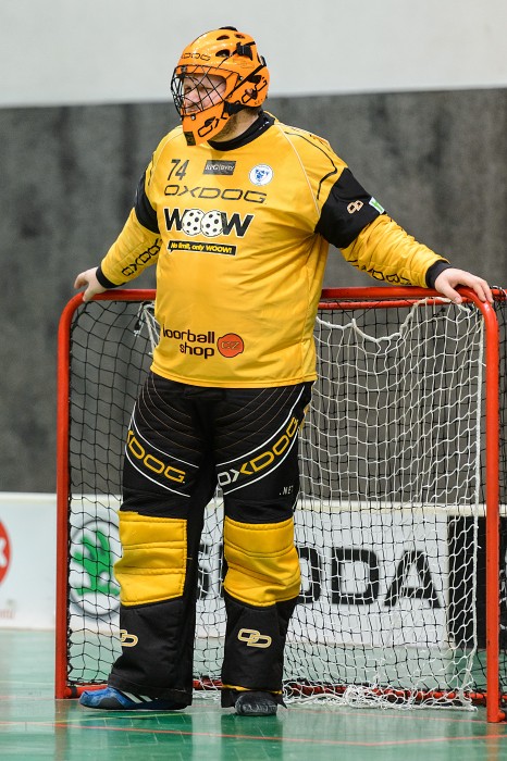 FBK Mladá Boleslav x 1. SC Vítkovice - 8:4