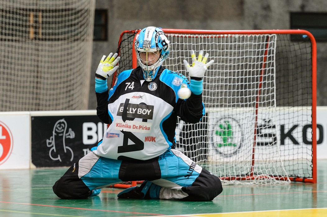 FBK Mladá Boleslav x 1. SC Vítkovice - 8:4