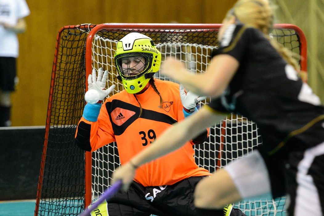 TJ Sokol Královské Vinohrady x 1. SC Vítkovice - 0:4