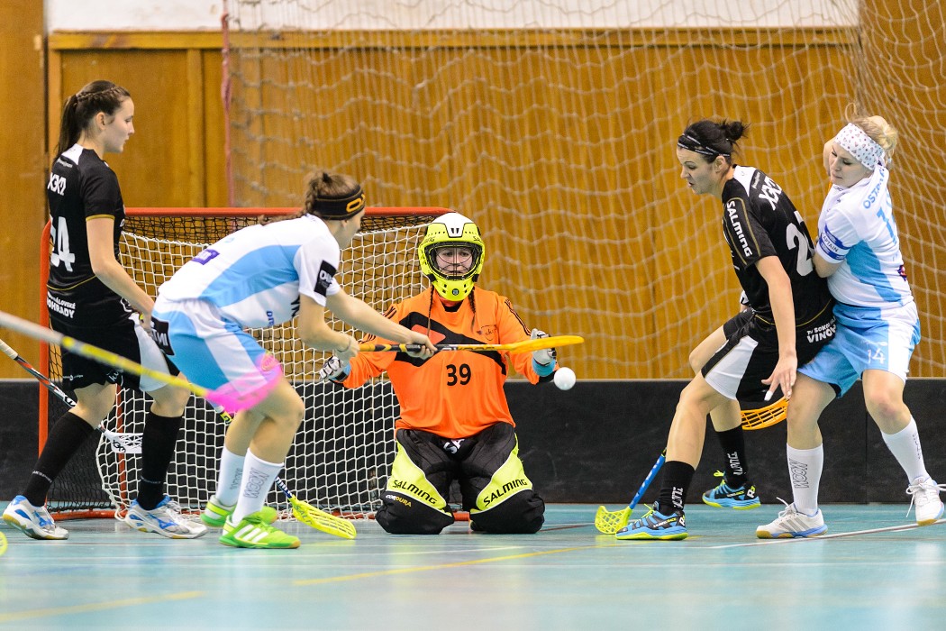 TJ Sokol Krlovsk Vinohrady x 1. SC Vtkovice - 0:4