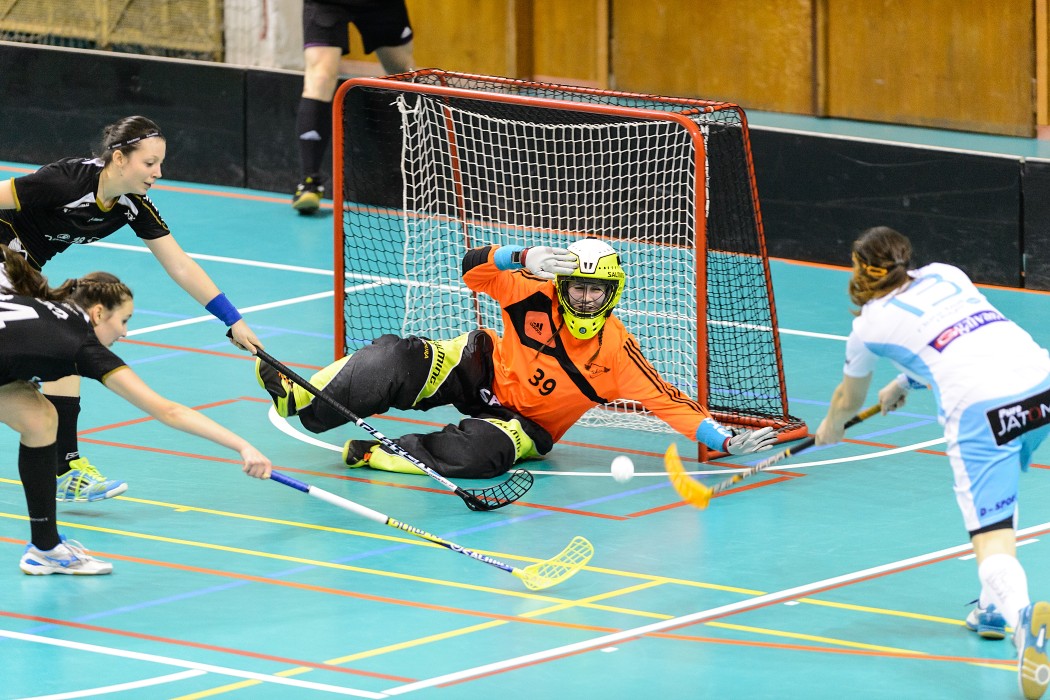 TJ Sokol Krlovsk Vinohrady x 1. SC Vtkovice - 0:4