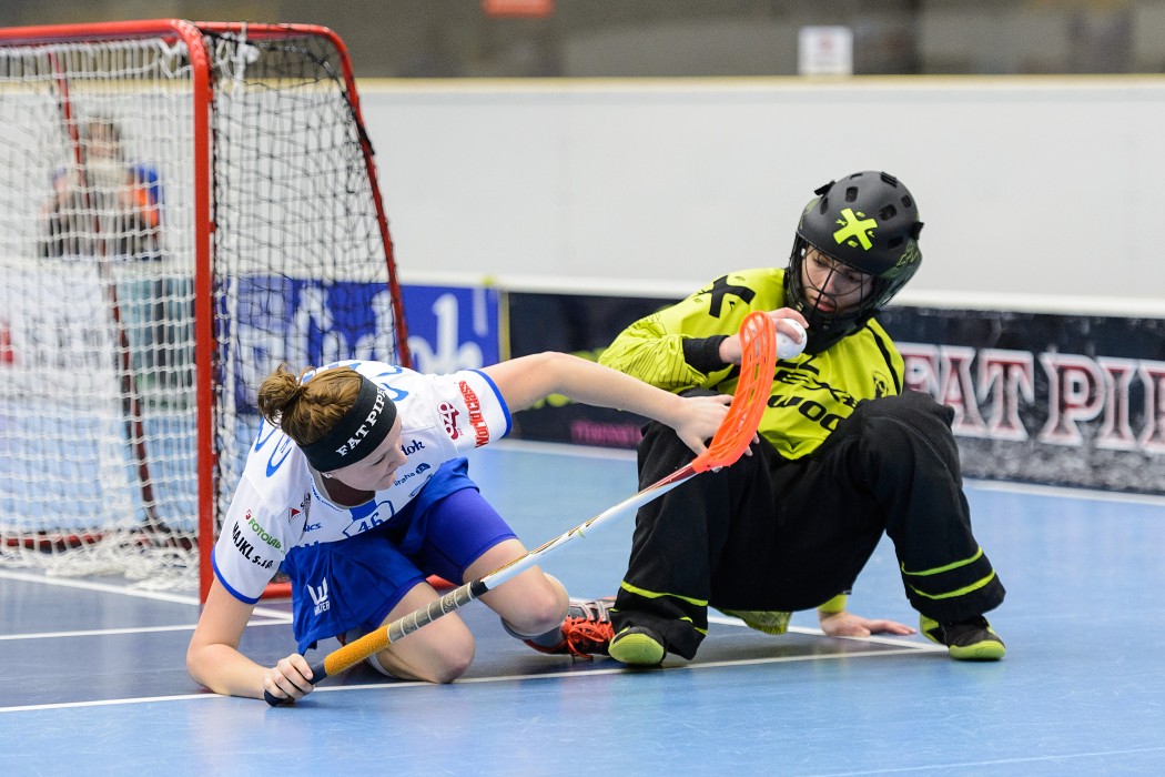 TJ JM Chodov x 1. SC Vítkovice - 7:5