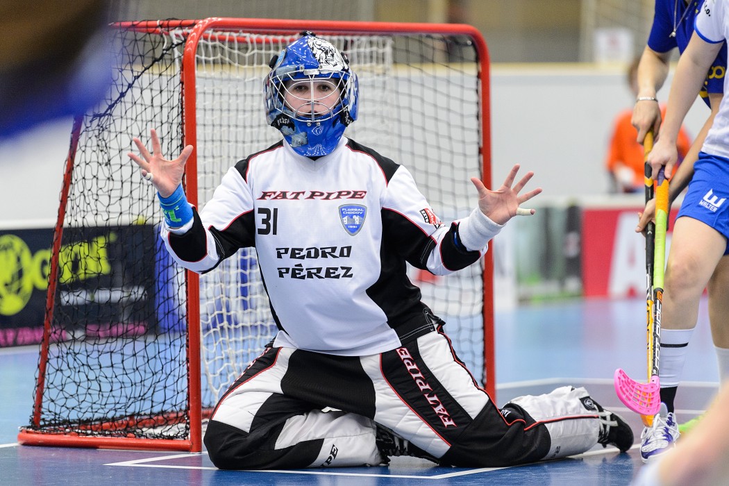 TJ JM Chodov x 1. SC Vítkovice - 7:5