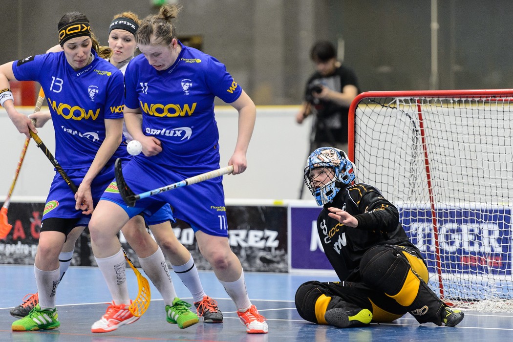 TJ JM Chodov x 1. SC Vítkovice - 7:5