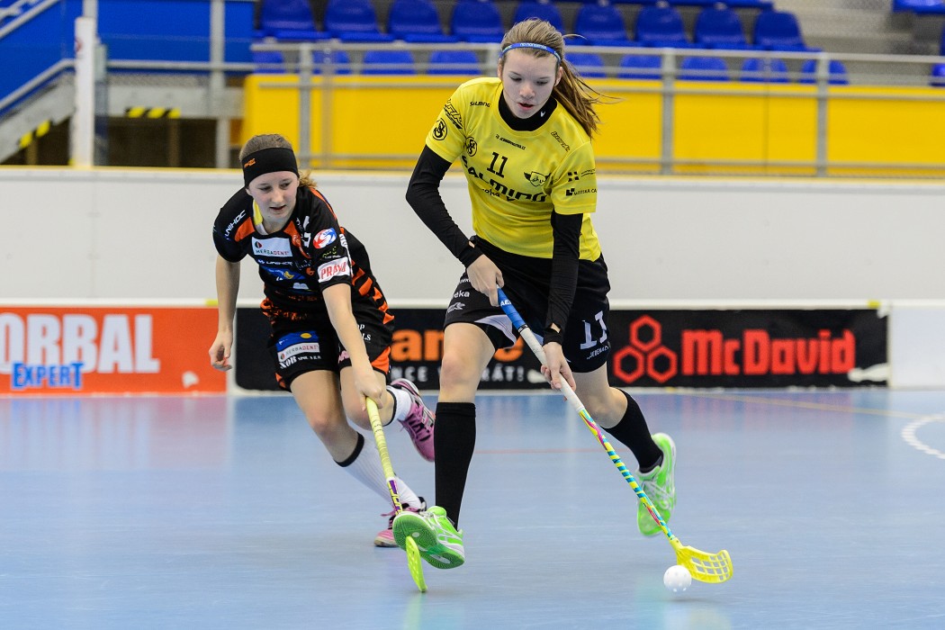 Herbadent Praha 11 SJM x TJ Sokol Královské Vinohrady - 16:0