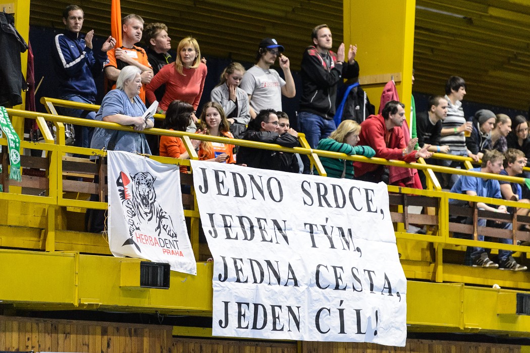 FBŠ Bohemians x Herbadent Praha 11 SJM - 1:7