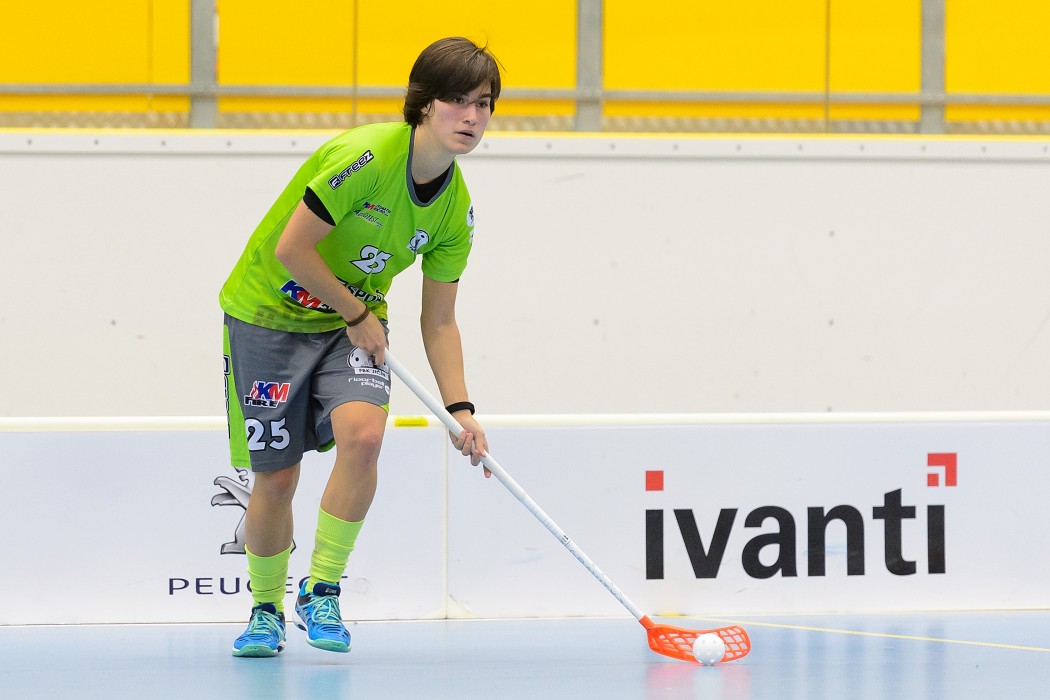 Ivanti Tigers Jižní Město vs KM Automatik FBK Jičín