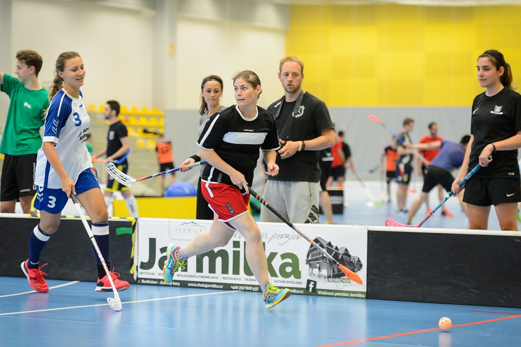 SE Floorball Camp