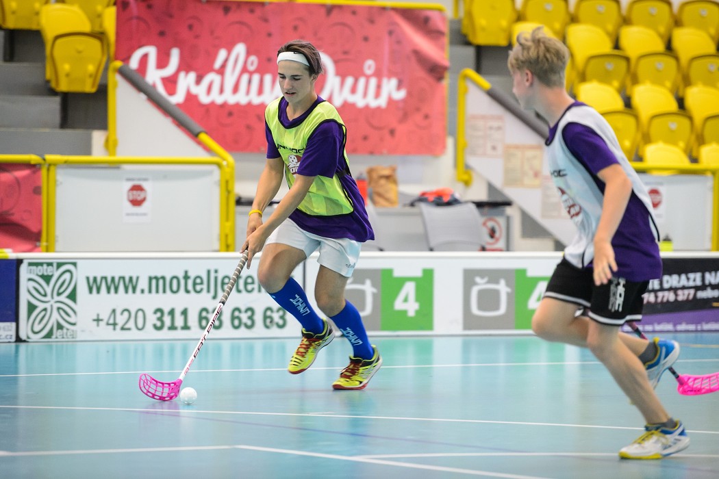 Rookie Camp 2017 - Králův Dvůr