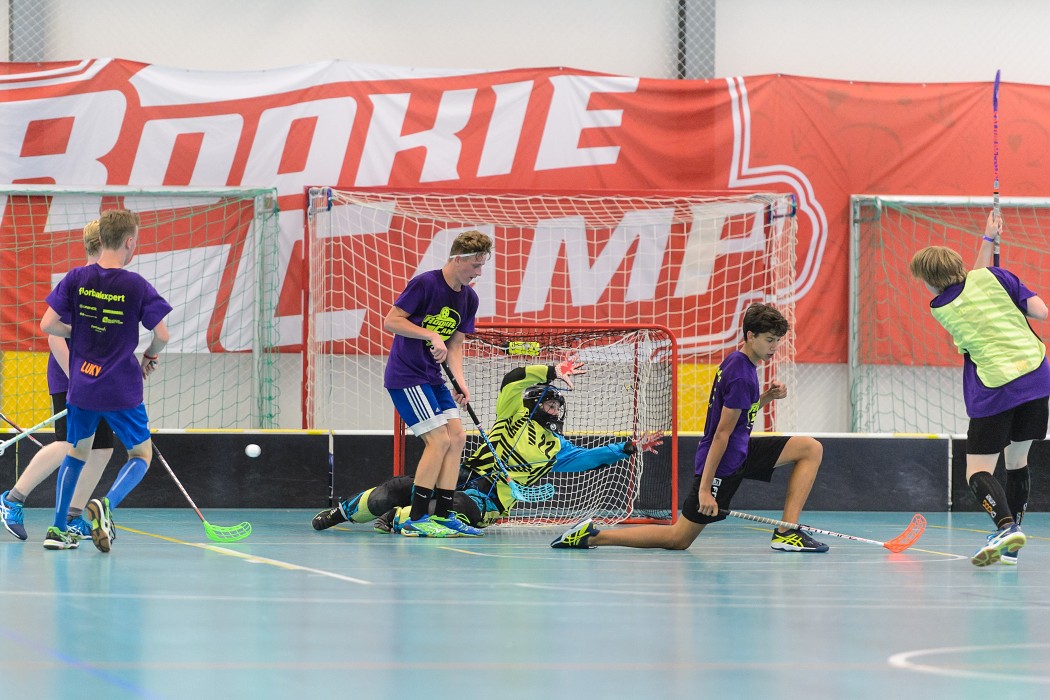 Rookie Camp 2017 - Králův Dvůr