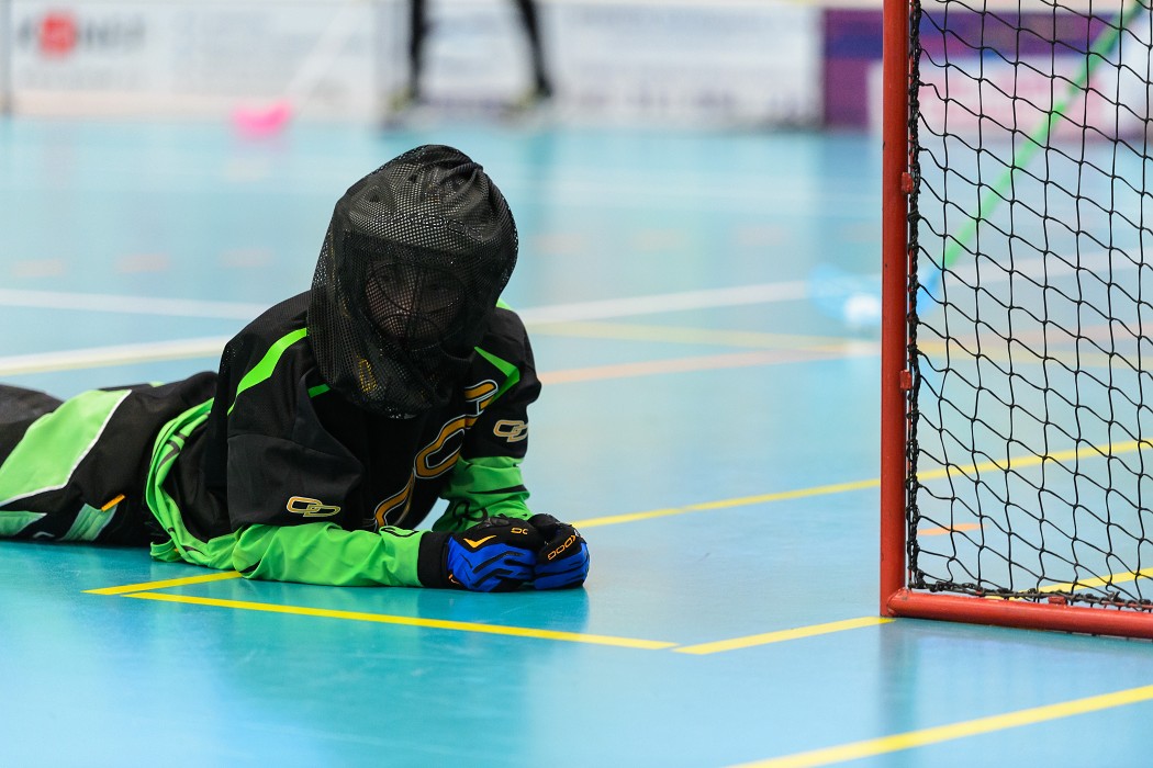 Rookie Camp 2017 - Králův Dvůr
