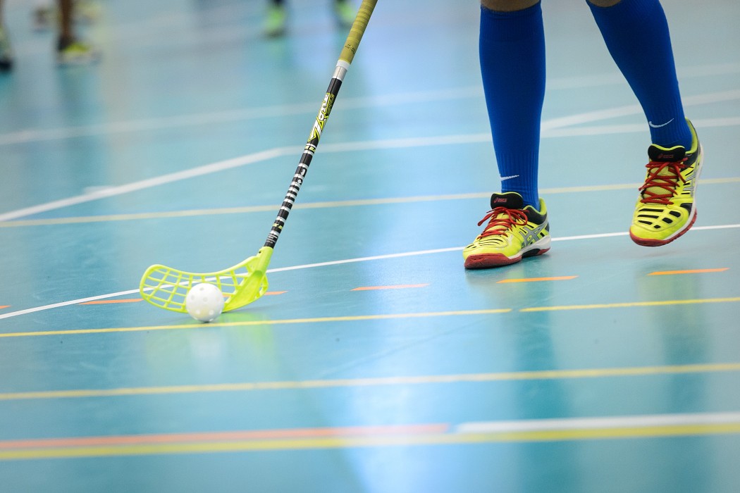 Rookie Camp 2017 - Králův Dvůr