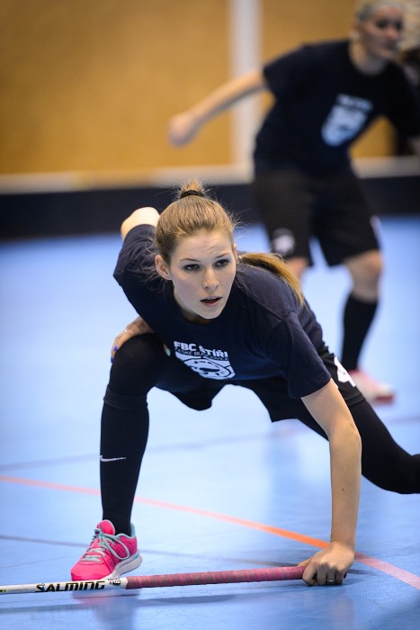 FBC Texas vs FBC Štíři České Budějovice