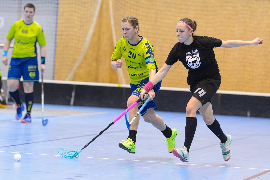 FBC Texas vs FBC Štíři České Budějovice