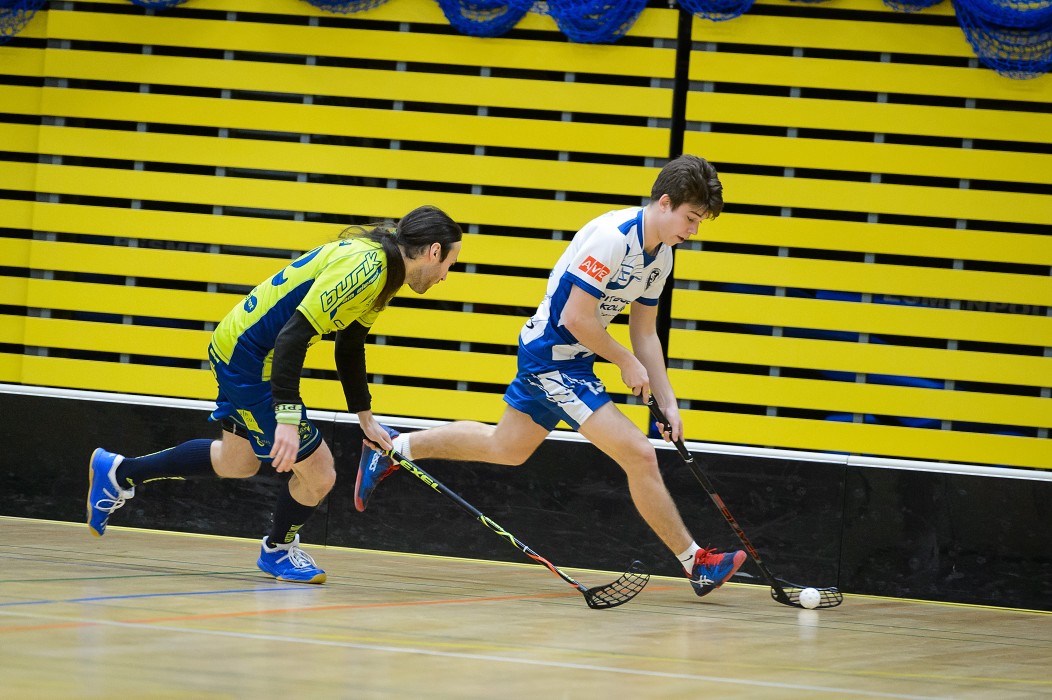 FBC Texas vs FBC Pitbulls Kolín
