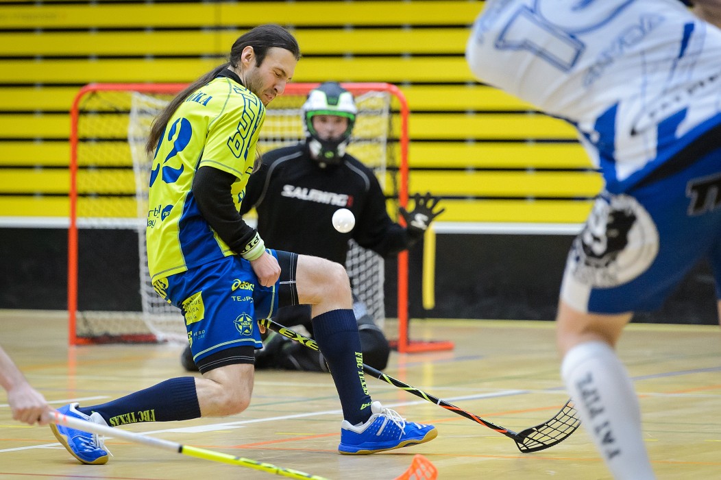 FBC Texas vs FBC Pitbulls Kolín