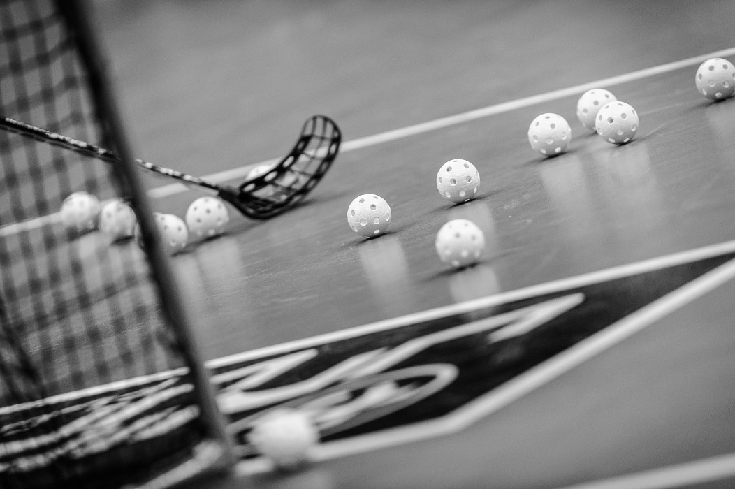 WFC 2014 - Česko vs Švýcarsko - 2:2