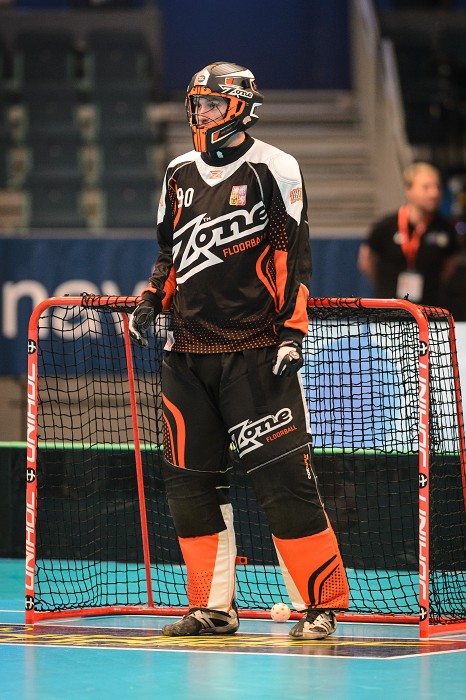 WFC 2014 - Česko vs Švýcarsko - 2:2