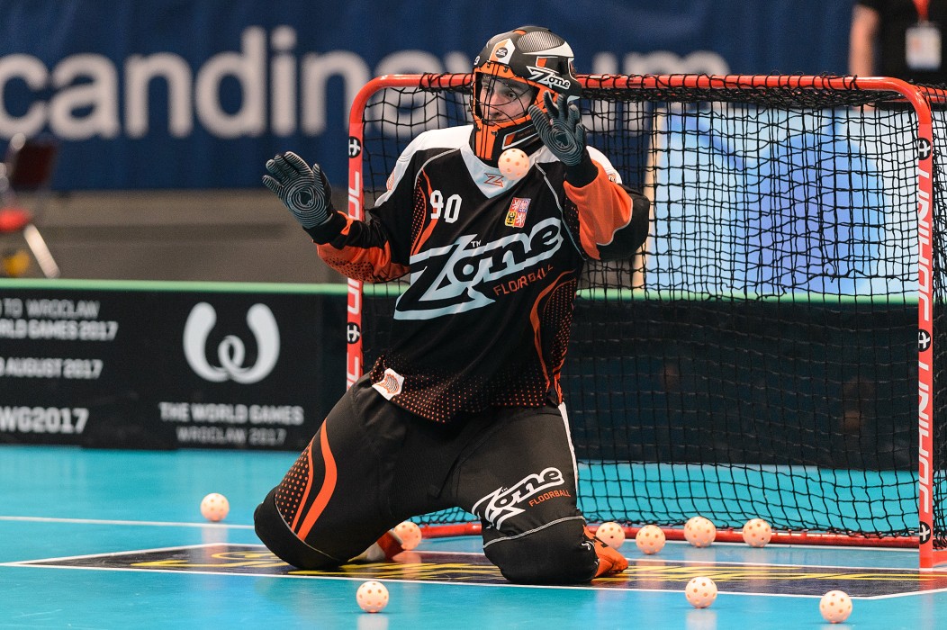 WFC 2014 - Česko vs Švýcarsko - 2:2