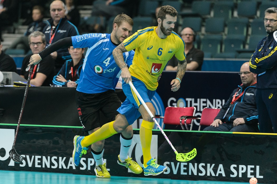 WFC 2014 - Švédsko vs Estonsko - 17:0