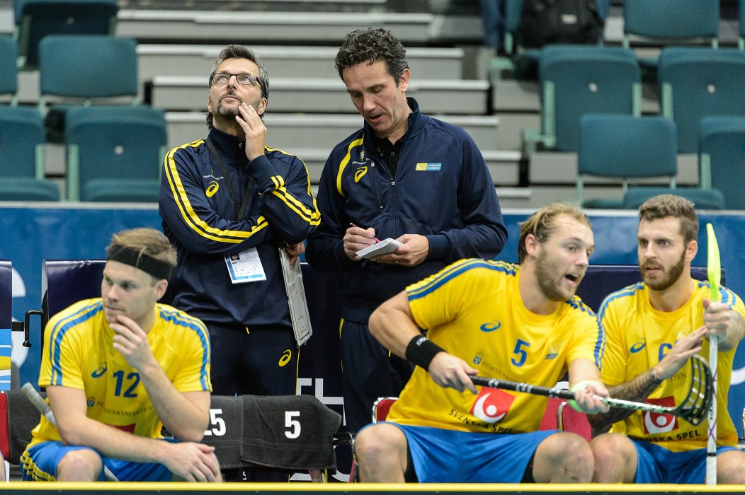 WFC 2014 - Švédsko vs Estonsko - 17:0
