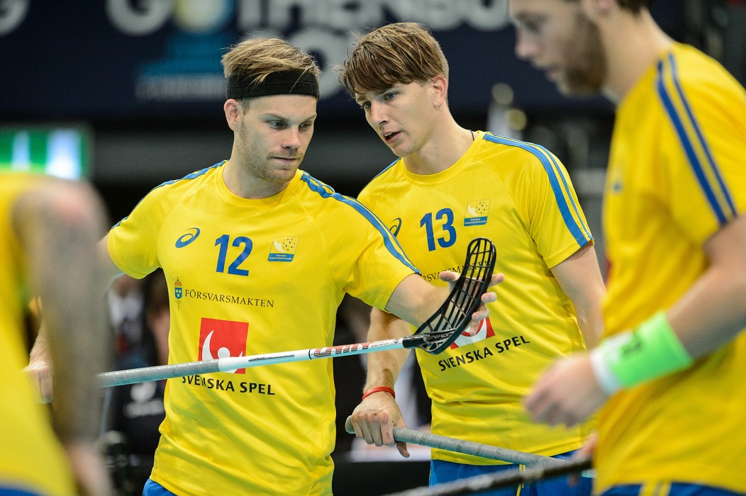 WFC 2014 - Švédsko vs Estonsko - 17:0