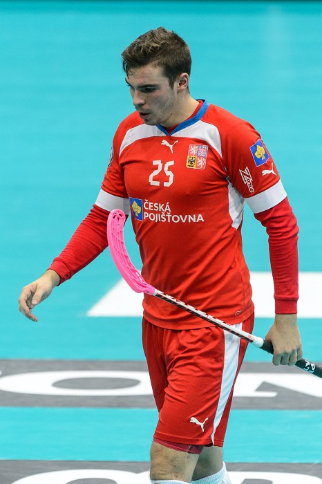 WFC 2014 - Česko vs Finsko - 3:6