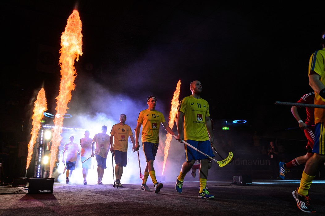 WFC 2014 - Švédsko vs Švýcarsko - 10:1