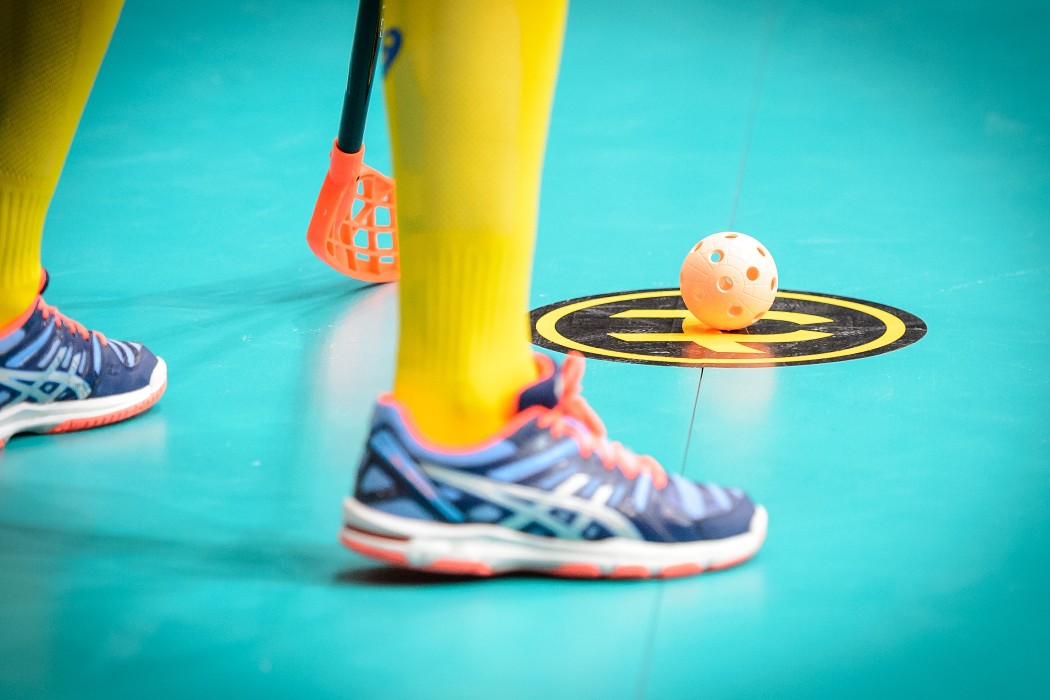 WFC 2015 - Sweden vs Czech Republic - 17:2