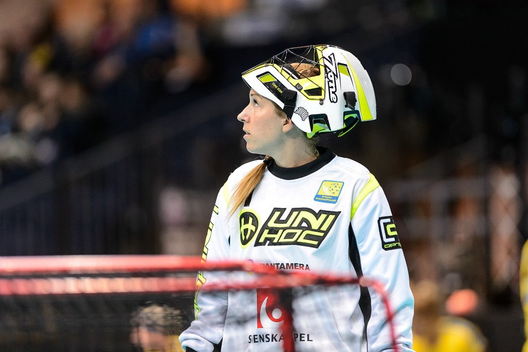 WFC 2015 - Sweden vs Czech Republic - 17:2