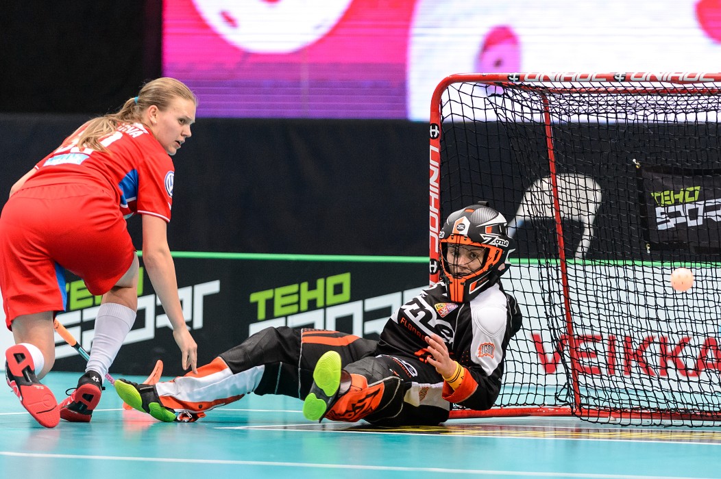 WFC 2015 - Sweden vs Czech Republic - 17:2