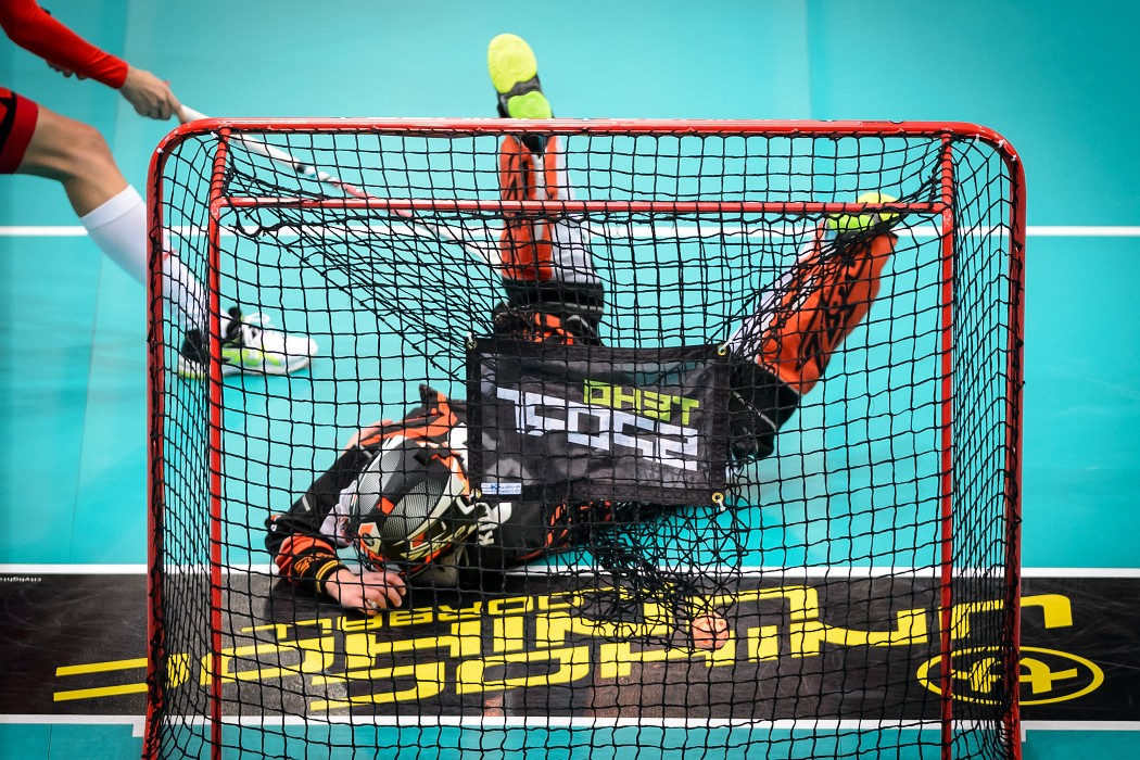 WFC 2015 - Sweden vs Czech Republic - 17:2