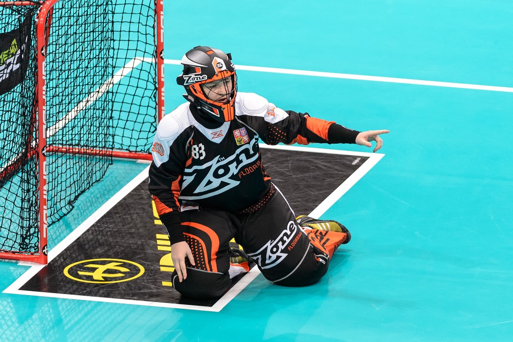 WFC 2015 - Sweden vs Czech Republic - 17:2