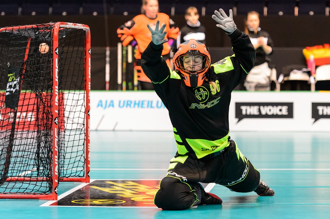 WFC 2015 - Czech Republic vs Germany - 9:1