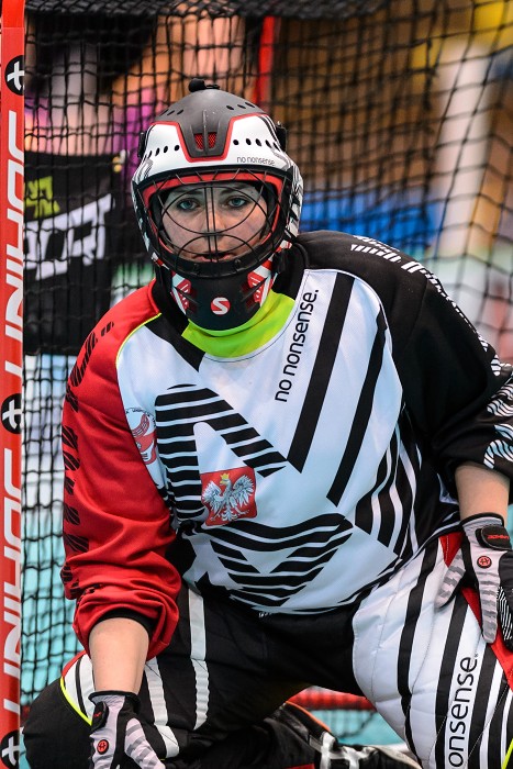 WFC 2015 - Poland vs Russia - 4:1