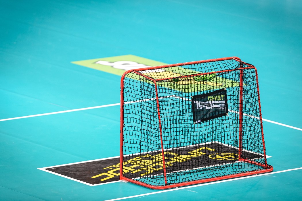 WFC 2015 - Czech Republic vs Poland - 8:2