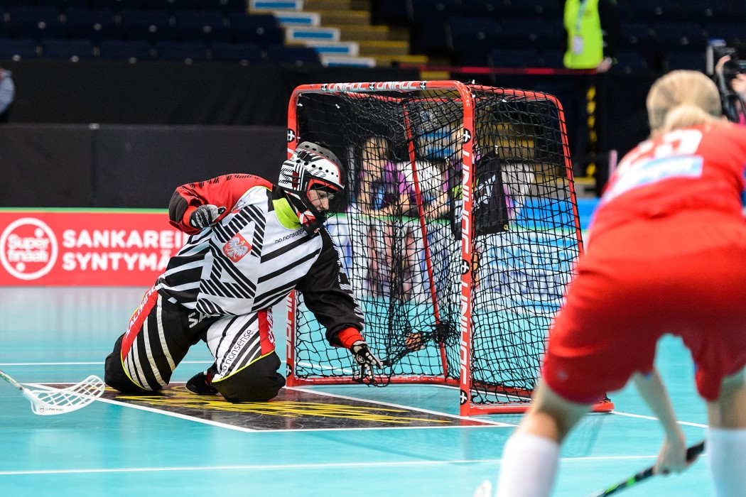 WFC 2015 - Czech Republic vs Poland - 8:2