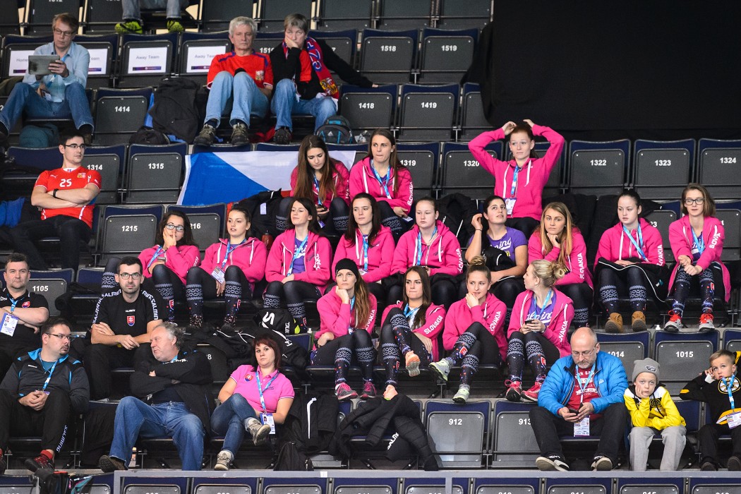 WFC 2015 - Czech Republic vs Poland - 8:2