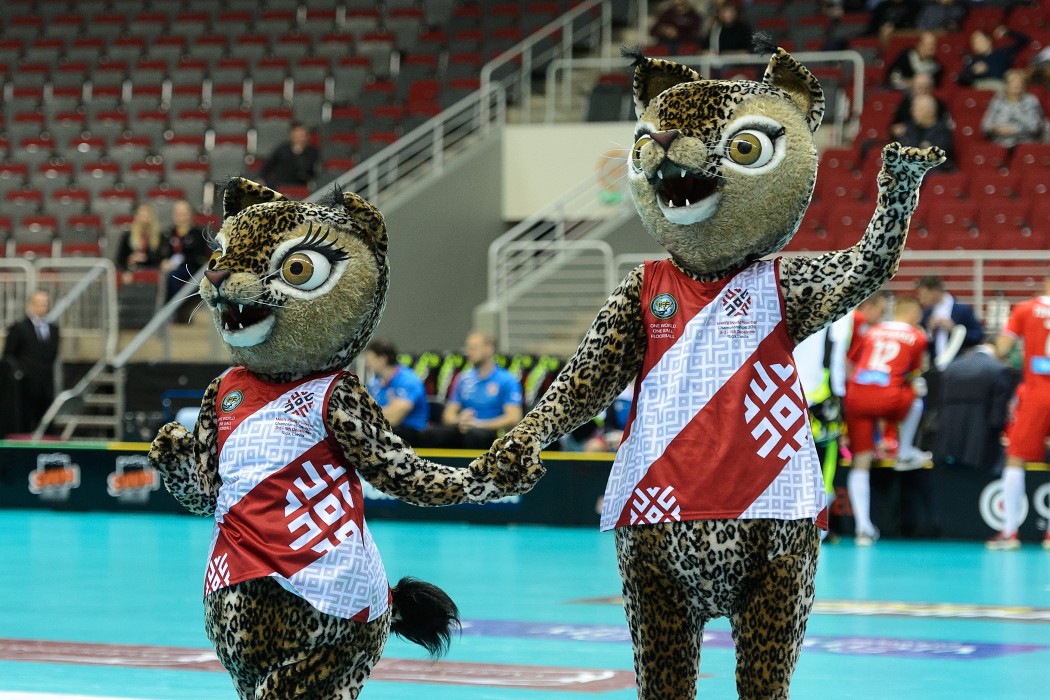 MS 2016 - Česko x Norsko