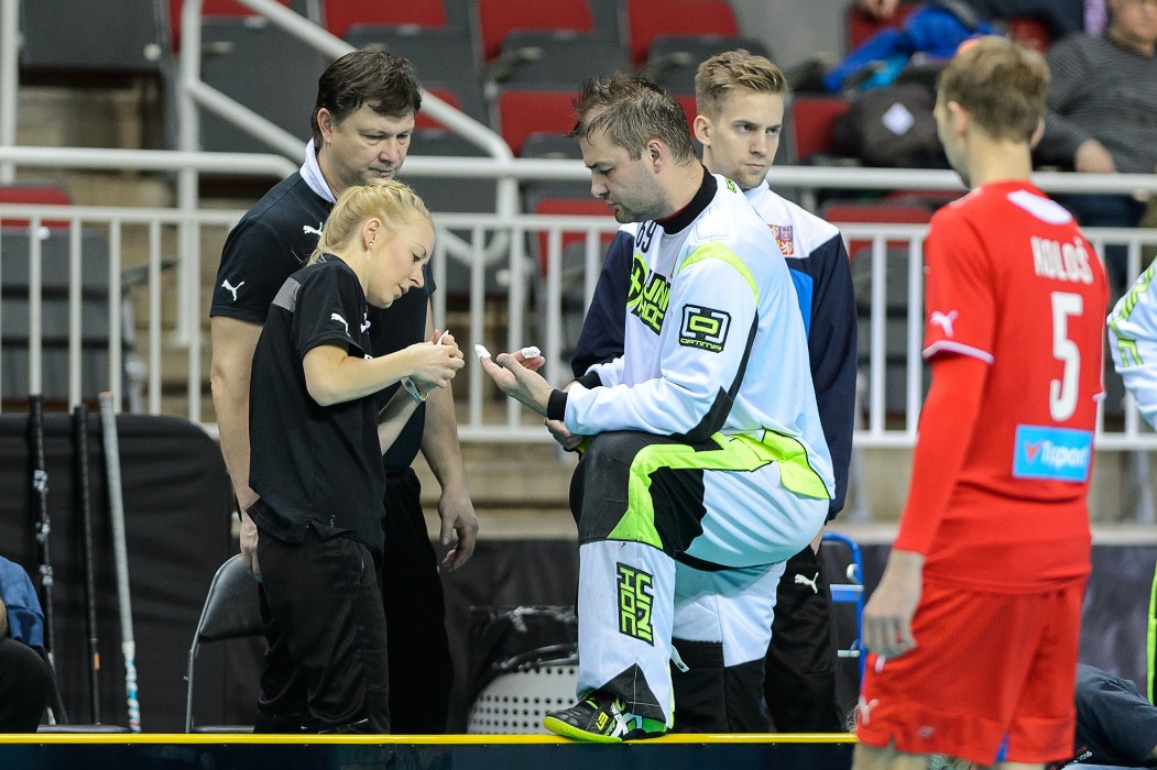 MS 2016 - Švédsko x Česko