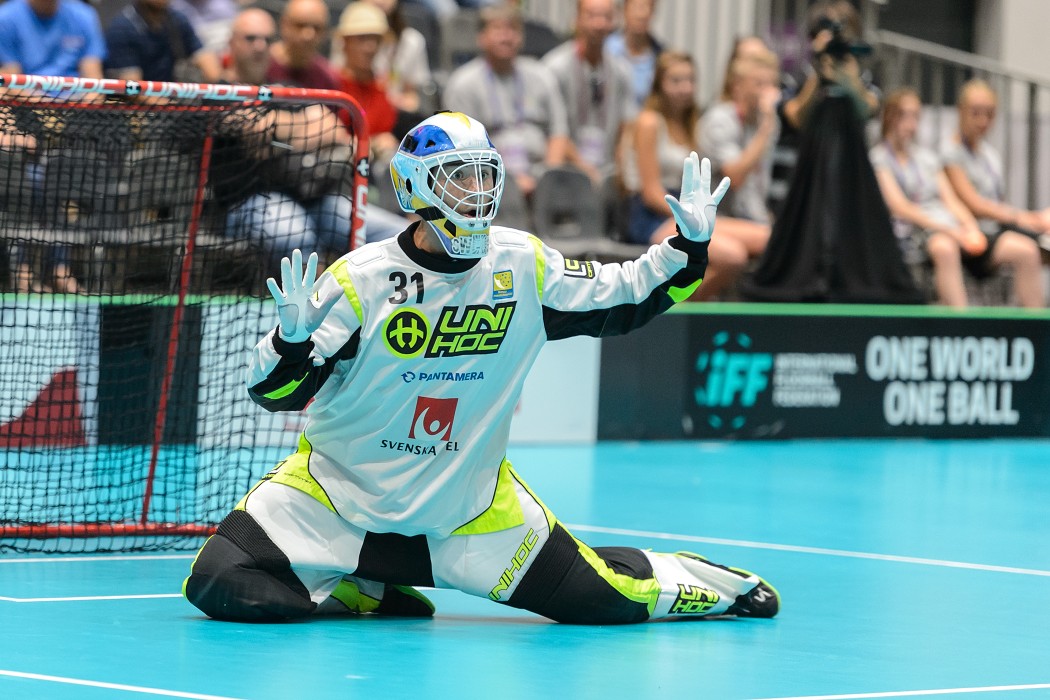 TWG 2017 - Švédsko x Česko