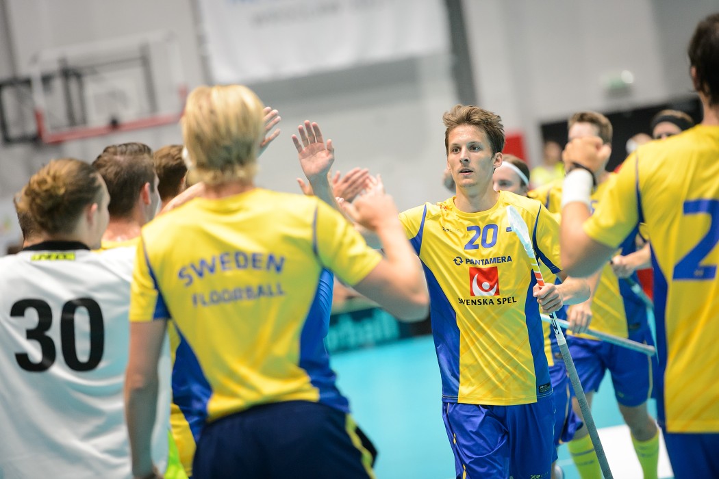 TWG 2017 - Švédsko x Česko