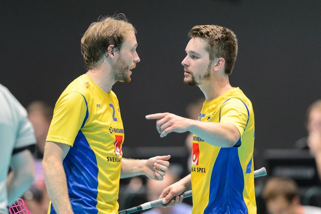 TWG 2017 - Švédsko x Česko