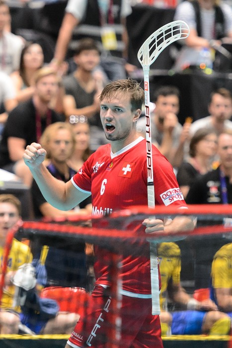 TWG 2017 - Švýcarsko x Švédsko