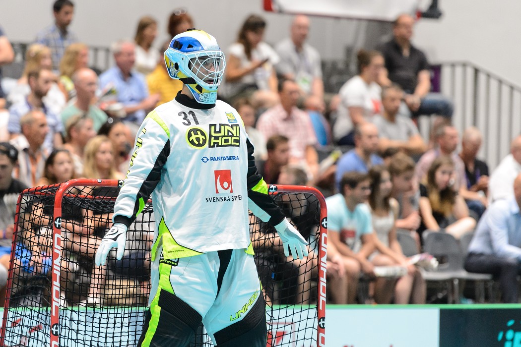 TWG 2017 - Švýcarsko x Švédsko