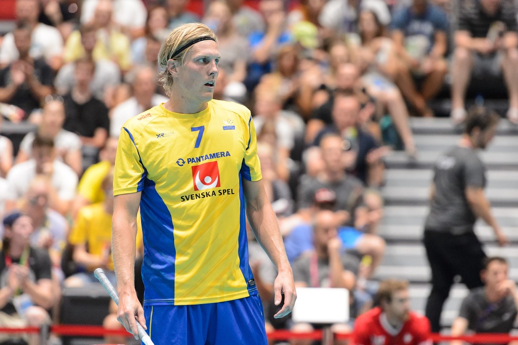 TWG 2017 - Švýcarsko x Švédsko