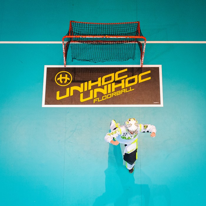 MS 2017 - Česko x Lotyšsko