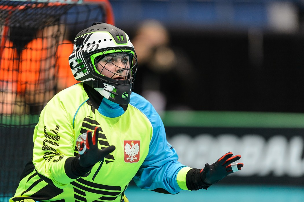 MS 2017 - Česko x Polsko