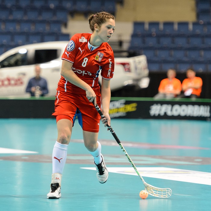 MS 2017 - Česko x Polsko