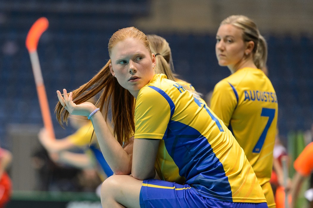 MS 2017 - Švédsko x Česko